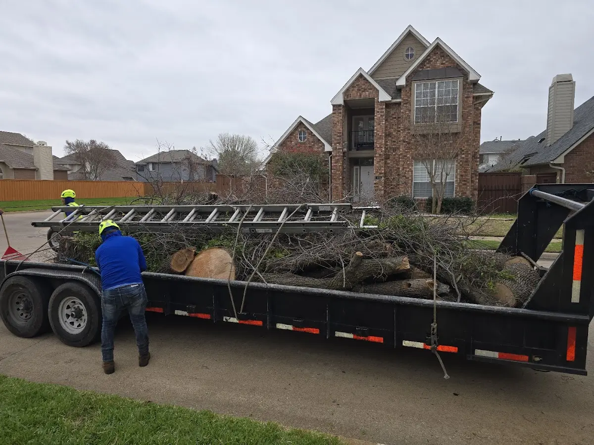Expert Tree Fertilization with proper safety equipment in Tripp